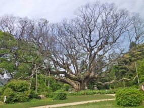 平成30年5月5日の状態